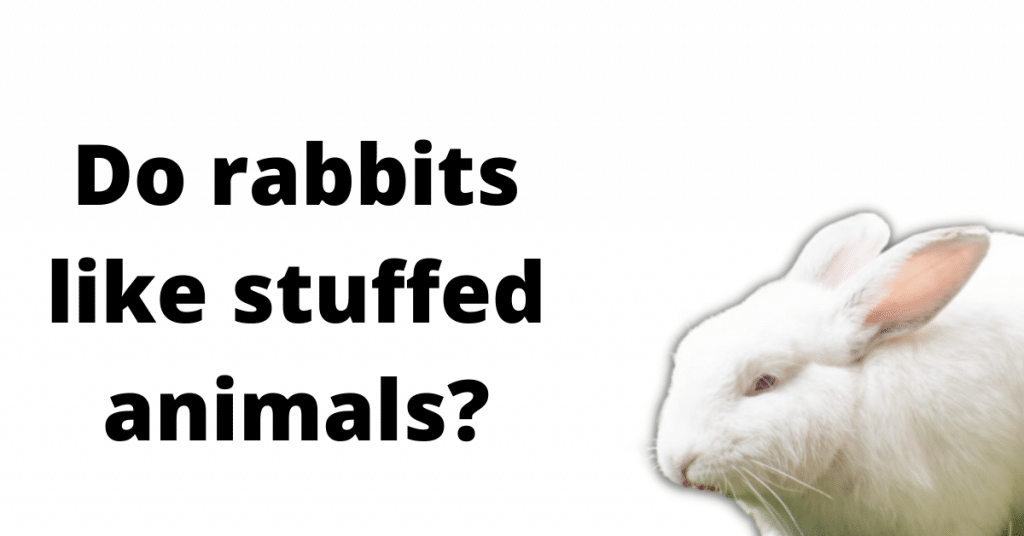 Habitat for Wild Rabbits (Plus How To Make One)